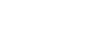 logo blanco
